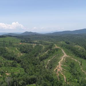 Aerial_4