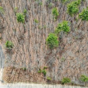 03-DJI_20250328142759_0215