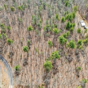 04-DJI_20250328142813_0218