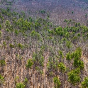 05-PANO_0001