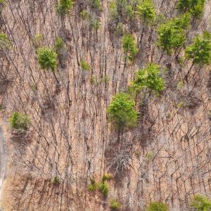 06-PANO_0004