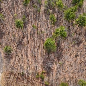 07-PANO_0004-2