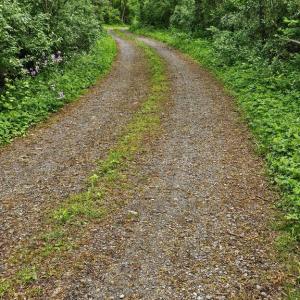 Photo #4 of BEYLORS FERRY, RILEYVILLE, VA 4.9 acres