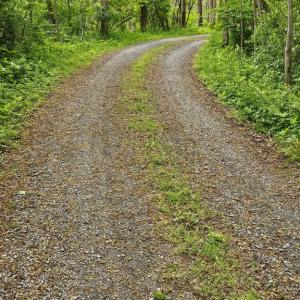 Photo #16 of BEYLORS FERRY, RILEYVILLE, VA 4.9 acres