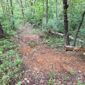 Photo #8 of BEYLORS FERRY, RILEYVILLE, VA 4.9 acres
