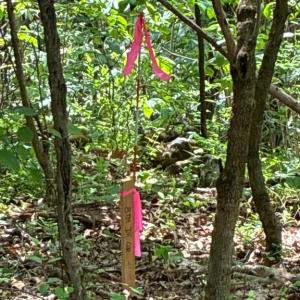 Photo #9 of BEYLORS FERRY, RILEYVILLE, VA 4.9 acres