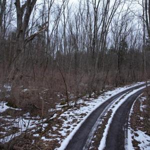Photo #21 of BEYLORS FERRY, RILEYVILLE, VA 4.9 acres