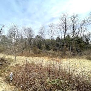 Photo #4 of Moneta RD, Bedford, VA 7.8 acres