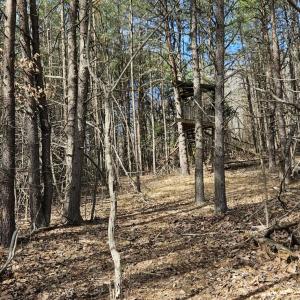 Resized_20250309_151711_1741554004308