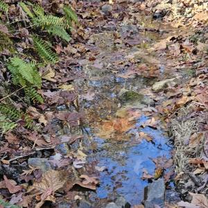 Resized_20241103_115903_1741554036831