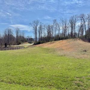 Beautiful Cleared Lot