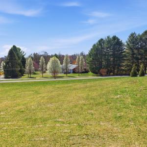 Photo #2 of MALVERN DR, MADISON, VA 3.1 acres