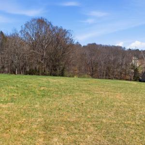 Photo #4 of MALVERN DR, MADISON, VA 3.1 acres