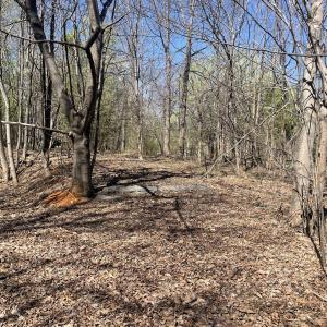 254 Mallard Point 2