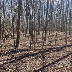 254 Mallard Point
