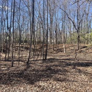 254 Mallard Point