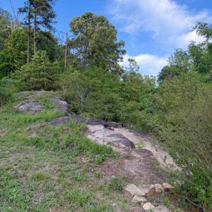 Photo #4 of REVA, REVA, VA 3.1 acres
