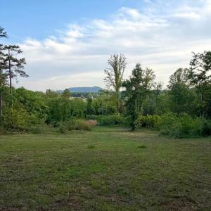 Photo #1 of REVA, REVA, VA 3.1 acres