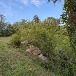 Photo #7 of REVA, REVA, VA 3.1 acres