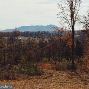 Photo #2 of REVA, REVA, VA 3.1 acres