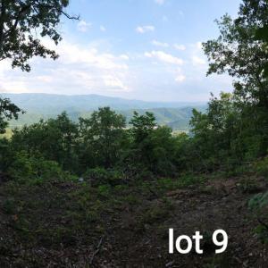 Lot 9