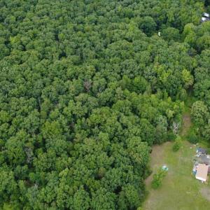 Photo #9 of 8332 PATRIOT HWY, FREDERICKSBURG, VA 2.0 acres