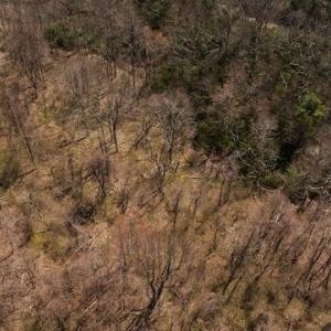 DJI_20250327123127_0773_D