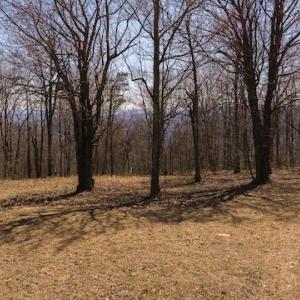 DJI_20250327121601_0742_D