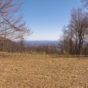 DJI_20250327121617_0744_D