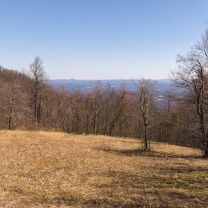 DJI_20250327121630_0745_D