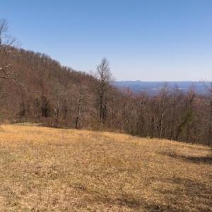 DJI_20250327121635_0746_D