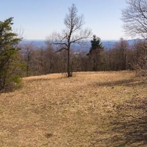 DJI_20250327122033_0758_D