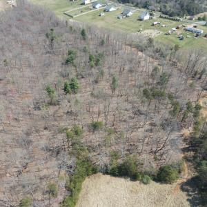 DJI_0352