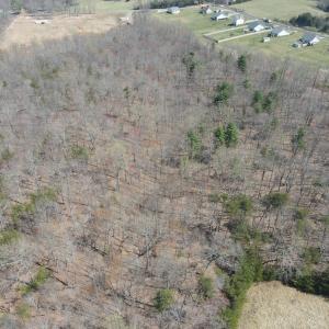 DJI_0385