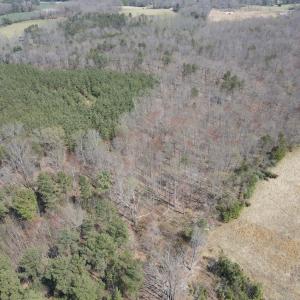 DJI_0387