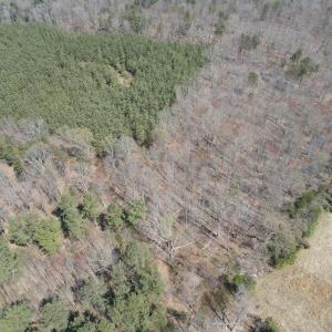 DJI_0389
