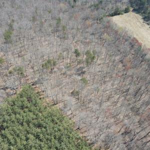 DJI_0391