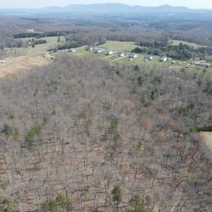 DJI_0393