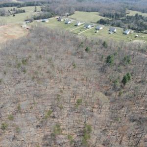 DJI_0395