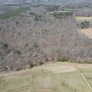 DJI_0407
