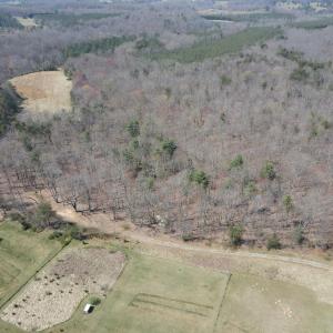 DJI_0408
