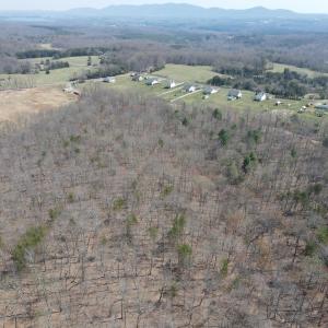 DJI_0394