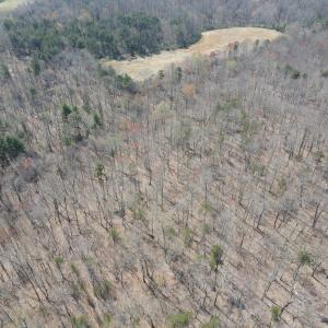 DJI_0410
