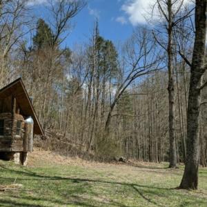 Hemrock - outdoors-summer-1