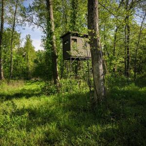 Photo #18 of HARTS MILL RD, MINERAL, VA 25.0 acres