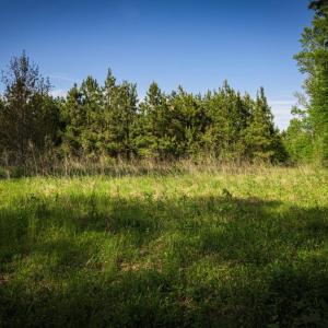 Photo #25 of HARTS MILL RD, MINERAL, VA 25.0 acres
