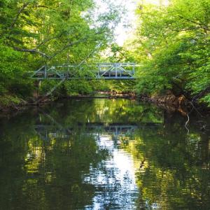 Photo #9 of HARTS MILL RD, MINERAL, VA 25.0 acres