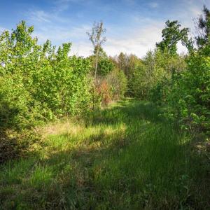 Photo #31 of HARTS MILL RD, MINERAL, VA 25.0 acres
