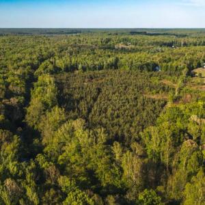 Photo #6 of HARTS MILL RD, MINERAL, VA 25.0 acres