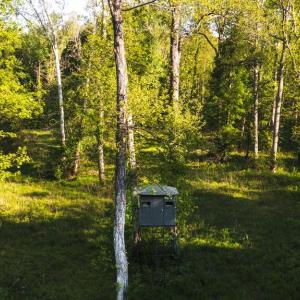Photo #3 of HARTS MILL RD, MINERAL, VA 25.0 acres